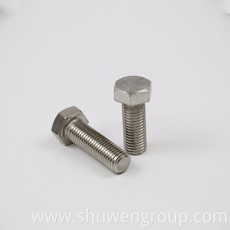 Stainless Steel 304 Hex Head Bolt